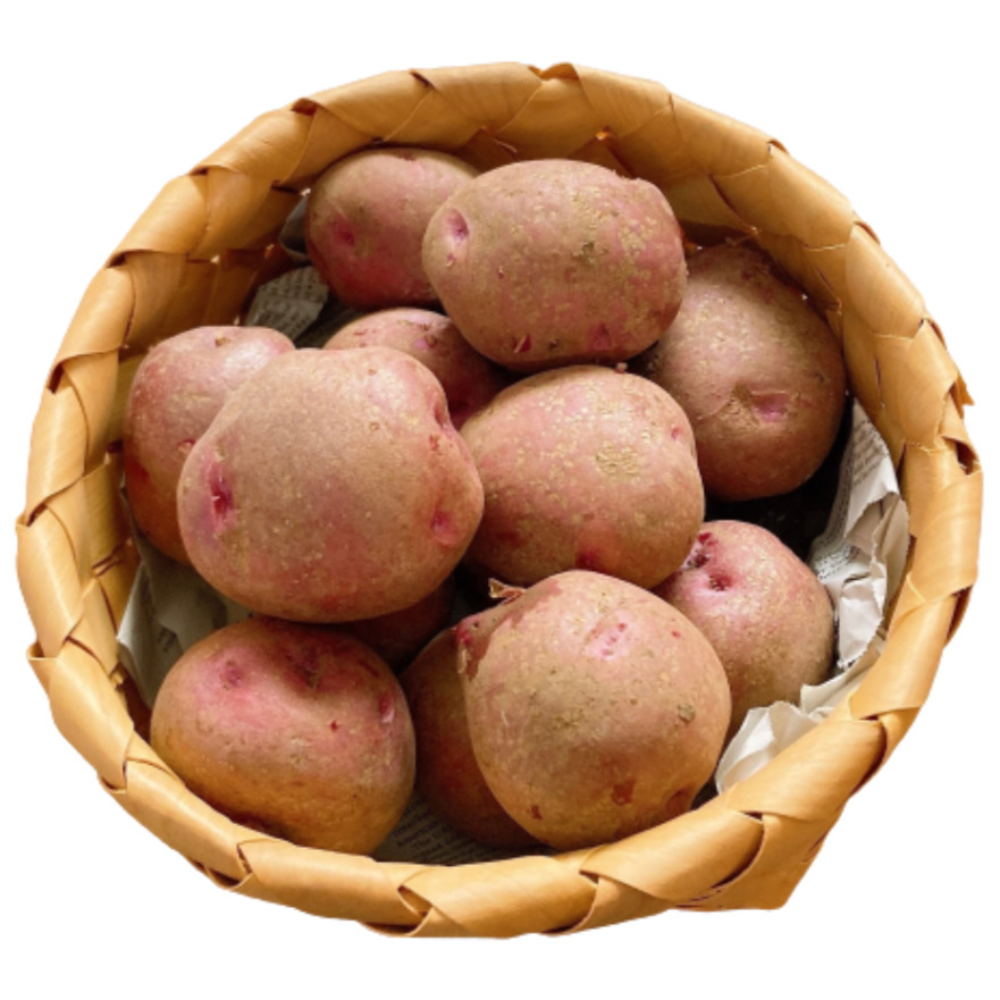 국내산 포슬포슬 노란카스테라 홍감자 햇홍감자남해 하동 진주 최상품 19,430원