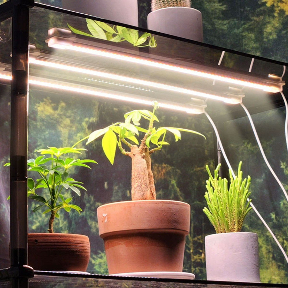 식물전파사 식물조명 LED 햇살바 3개 + 타이머 + 어댑터 68,000원