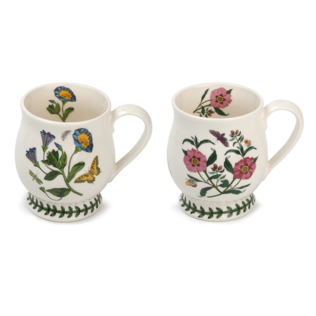 포트메리온 보타닉가든 브리스톨 머그컵 220ml x 2종 세트, 컨벌뷸러스, 락로즈, 1세트 83,260원