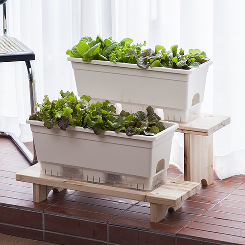 이즈리빙 내집에 텃밭 화분 15L 14,600원