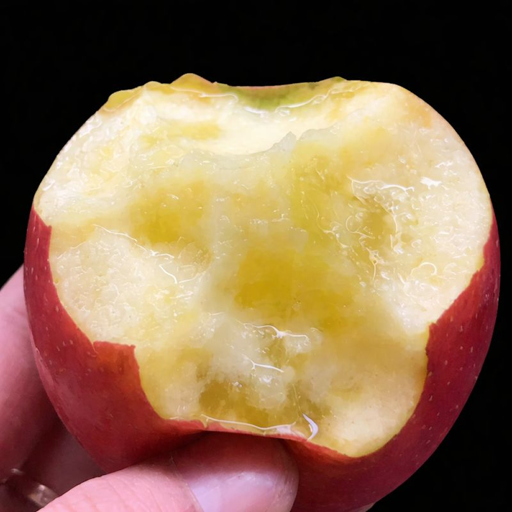 [우주초특가] 소량입고 최대14Brix  청송안동사과 부사사과 37,900원