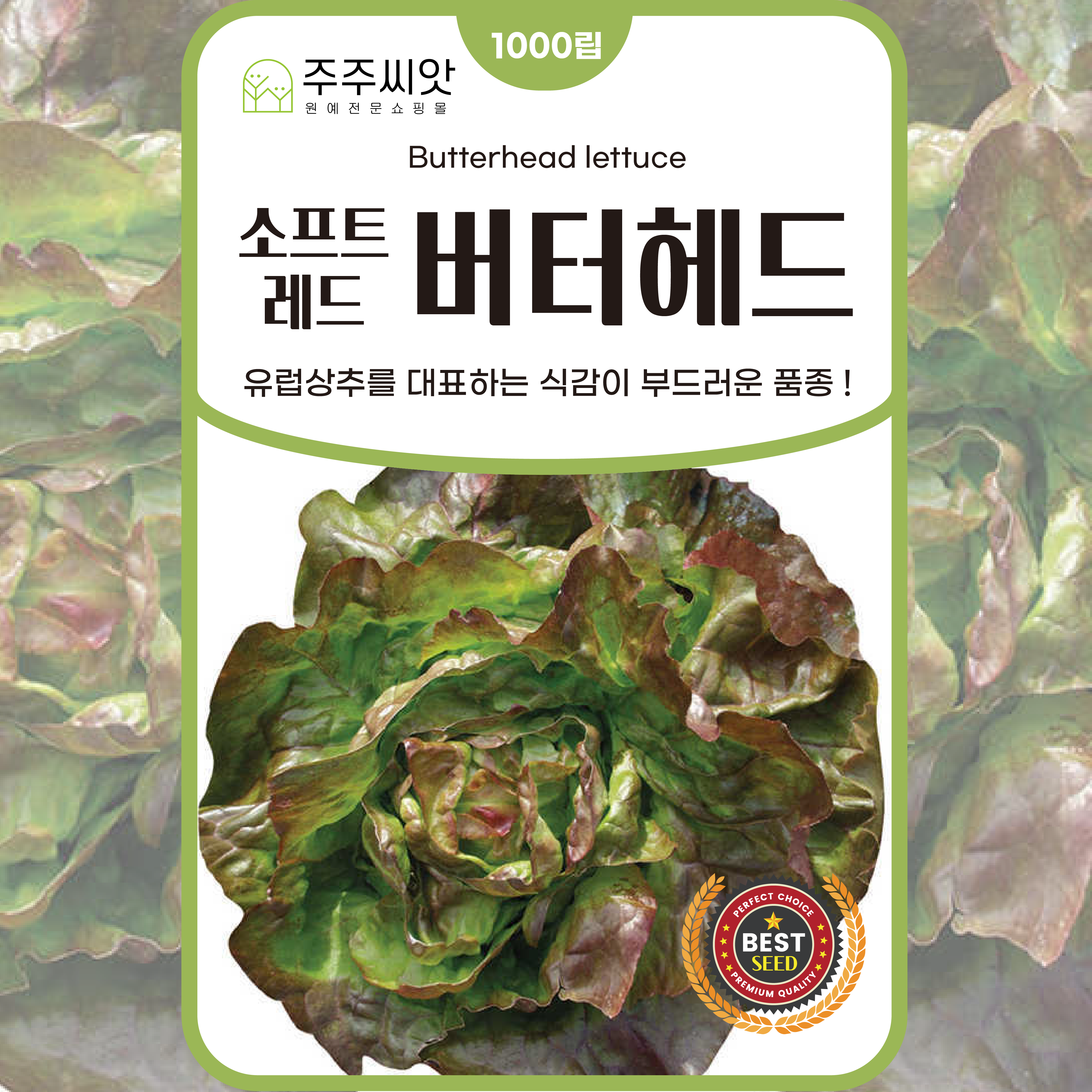 [주주씨앗] 소프트 레드 버터헤드씨앗 유럽상추씨앗 유럽상추씨 채소씨앗 버터상추씨, 1개 4,400원