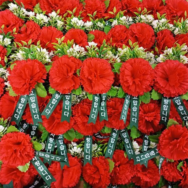 카네이션 코사지 카네이션코사지 카네이션조화 어버이날 조화 코사지 스승의날, 레드, 50개 30,000원