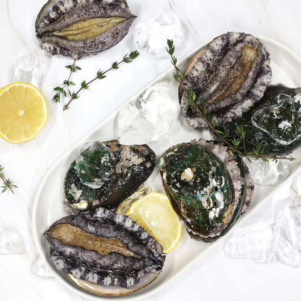 완도전복마을 큰전복 1kg 30,900원