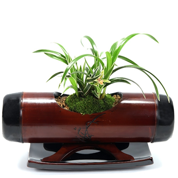 동양란 선물 BEST 1위 : 대나무옻칠화분 대상 g-0045 (수도권배송 택배배송) 사진전송 승진 취임 영전 인사이동 개업화분, 1개 66,480원