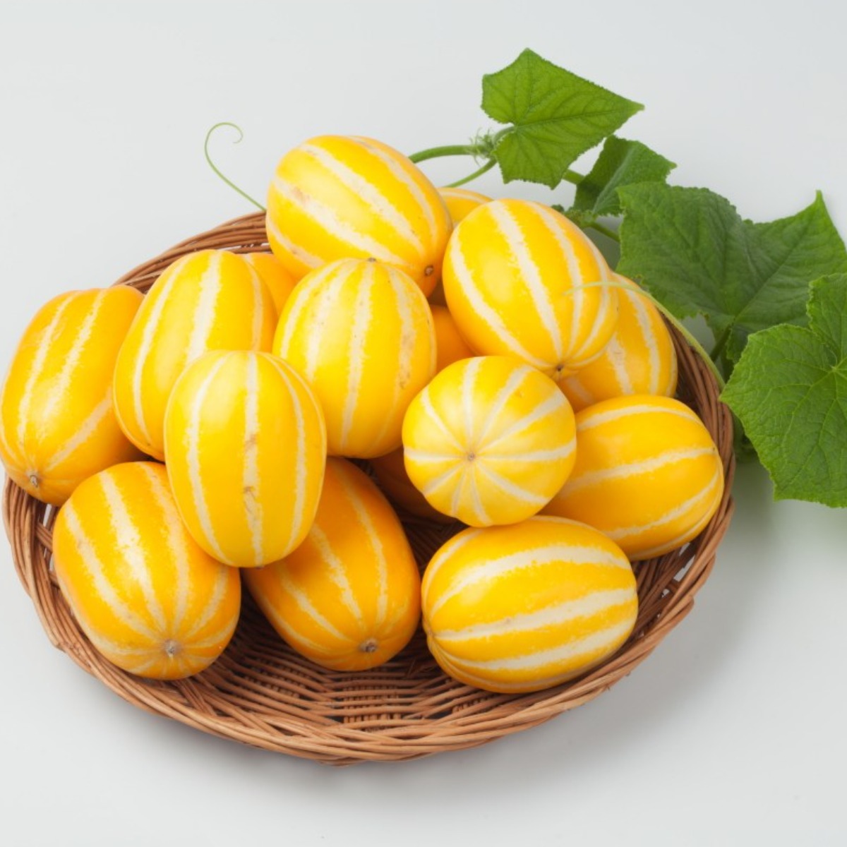 성주 햇 참외 당도선별 꿀참외 159,000원