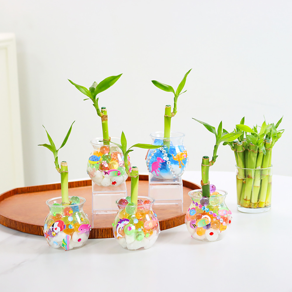 개운죽 수경식물 미니어항 수정토 어항꾸미기 만들기키트 인테리어식물 행운목 수중식물 diy 공기정화식물, 1개, 개운죽 수정토 어항 만들기 3,200원