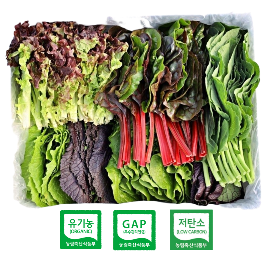GAP인증 유기농인증 저탄소 친환경 유기농 채소 모듬 쌈채소 당일수확 당일포장 10,890원