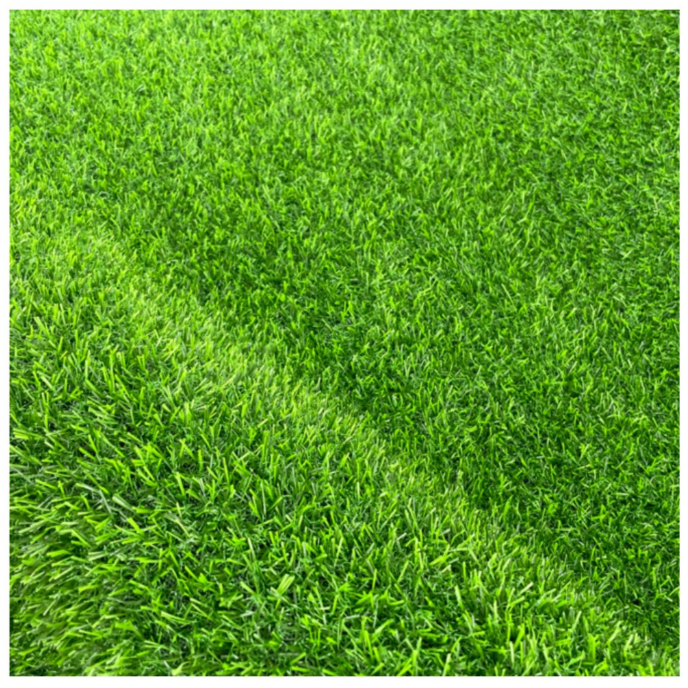 그린세상  조경용 보급형 인조잔디 16mm 1M x 5M / 테라스 정원 마당 옥상조경 베란다 실내실외 강아지애견 롤매트 인공잔디 잔디카페트 35,000원