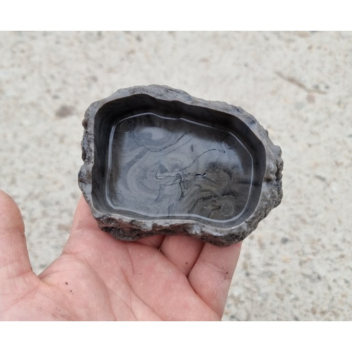 NRC 극사실 연못 물그릇 소사이즈 NR-S17 파충류 소라게 도마뱀 물그릇 6,500원