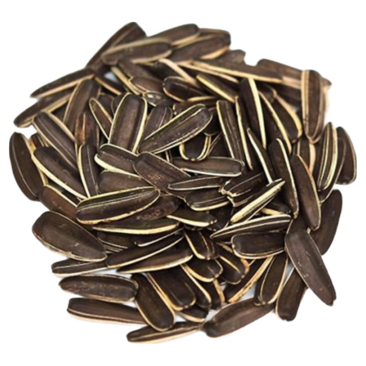 [당일배송] 세척 볶음 왕 해바라기씨 대형 해씨 햄스터 앵무새 간식 6,220원