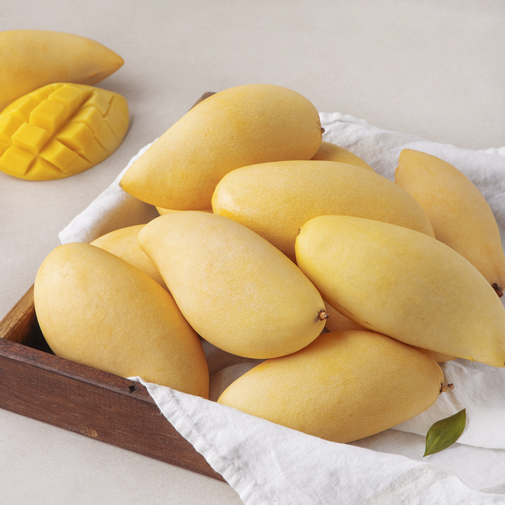 [로켓프레시] 프레시몬 태국산 망고, 5kg, 1박스 47,450원