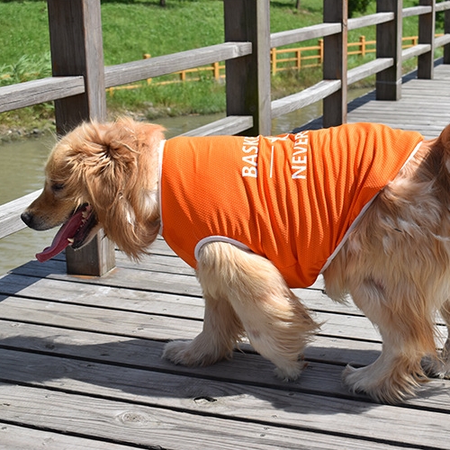 랜보어 강아지 바스켓볼 메쉬 중대형견 티셔츠 8,600원