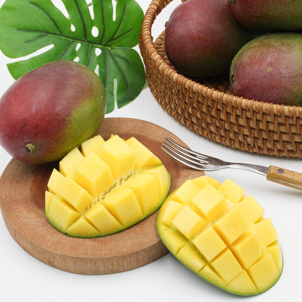 애플망고 페루 항공직송 고당도 프리미엄 실속세트 21,800원