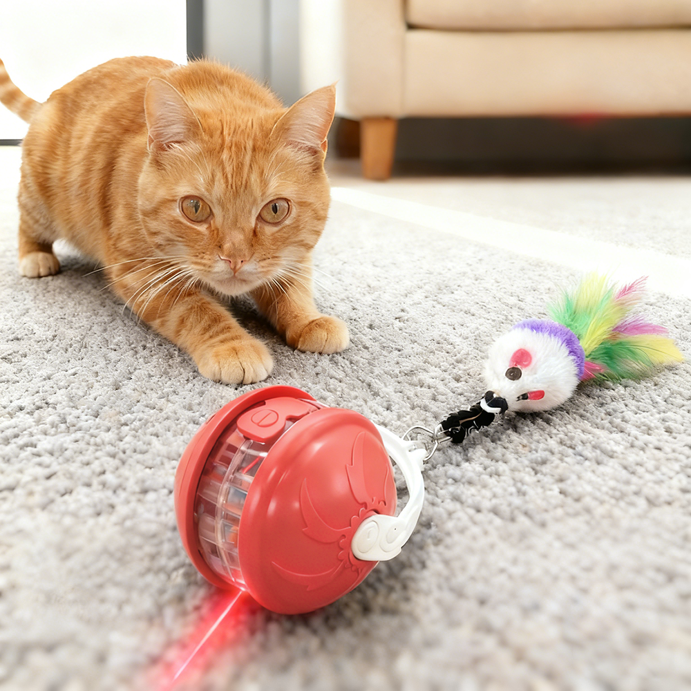 사시한사 고양이 스마트볼 자동 움직이는 사냥 장난감 충전식 공 12,990원