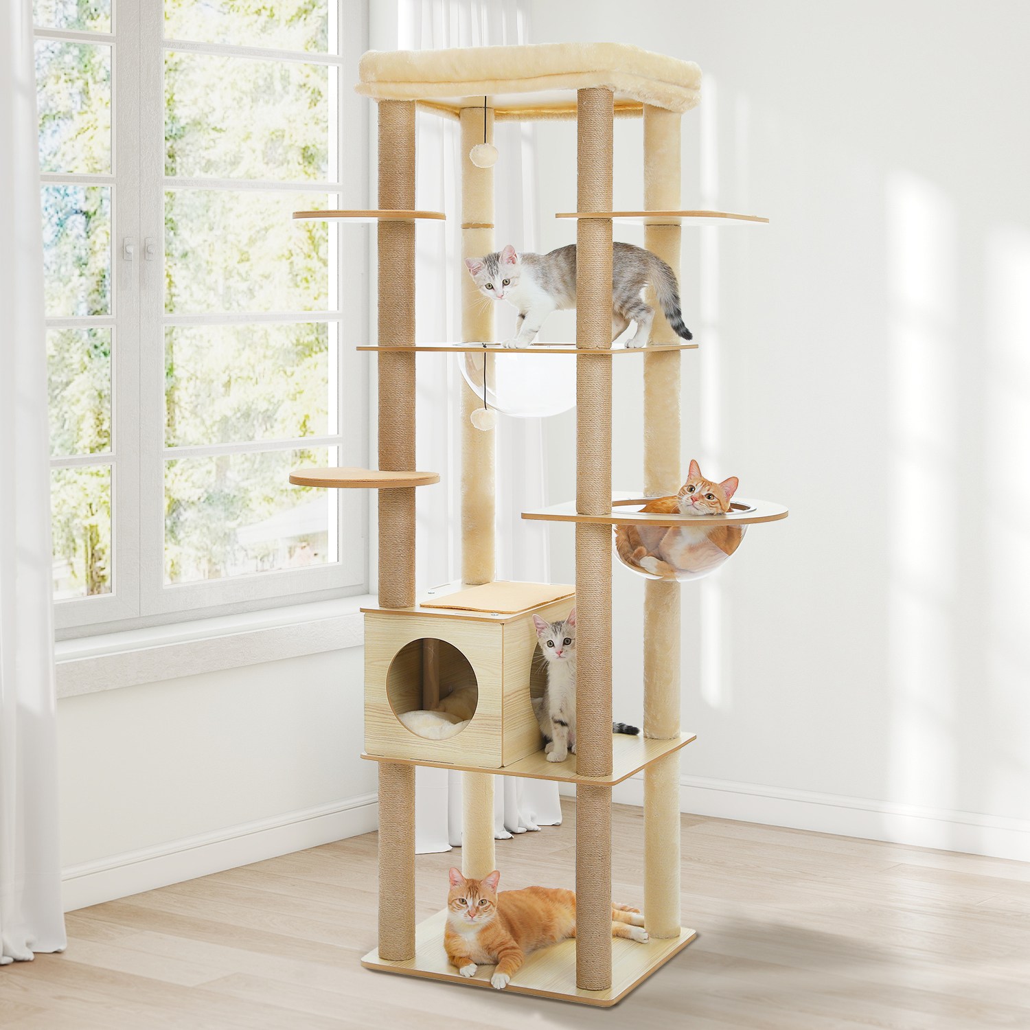 PAWZ Road 6단 모던 심플 합판 대형 캣타워  투명해먹 + 전망대+숨숨집 96,800원