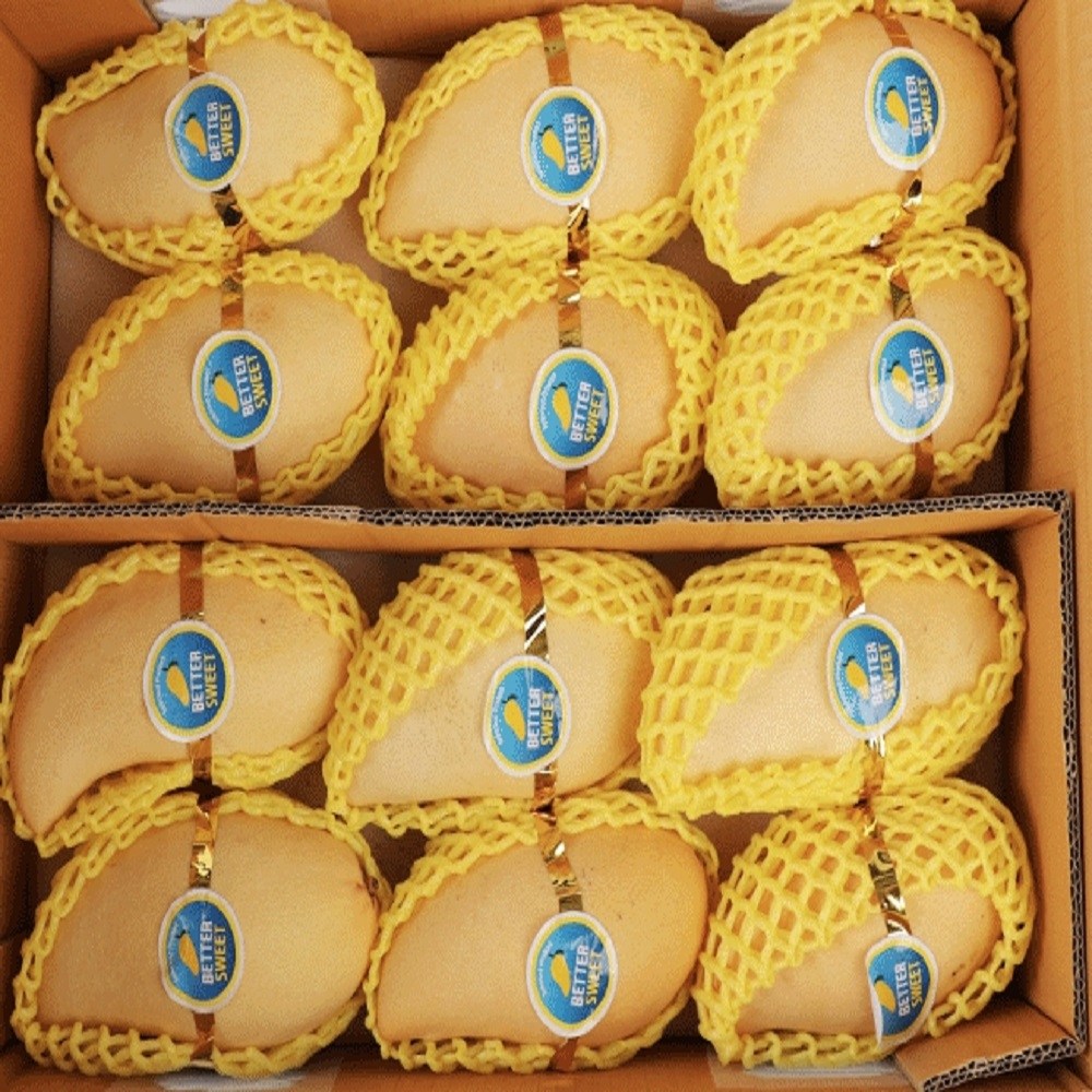 항공직송 고당도 남독마이 태국 골드망고 5kg(10~12과) 53,900원