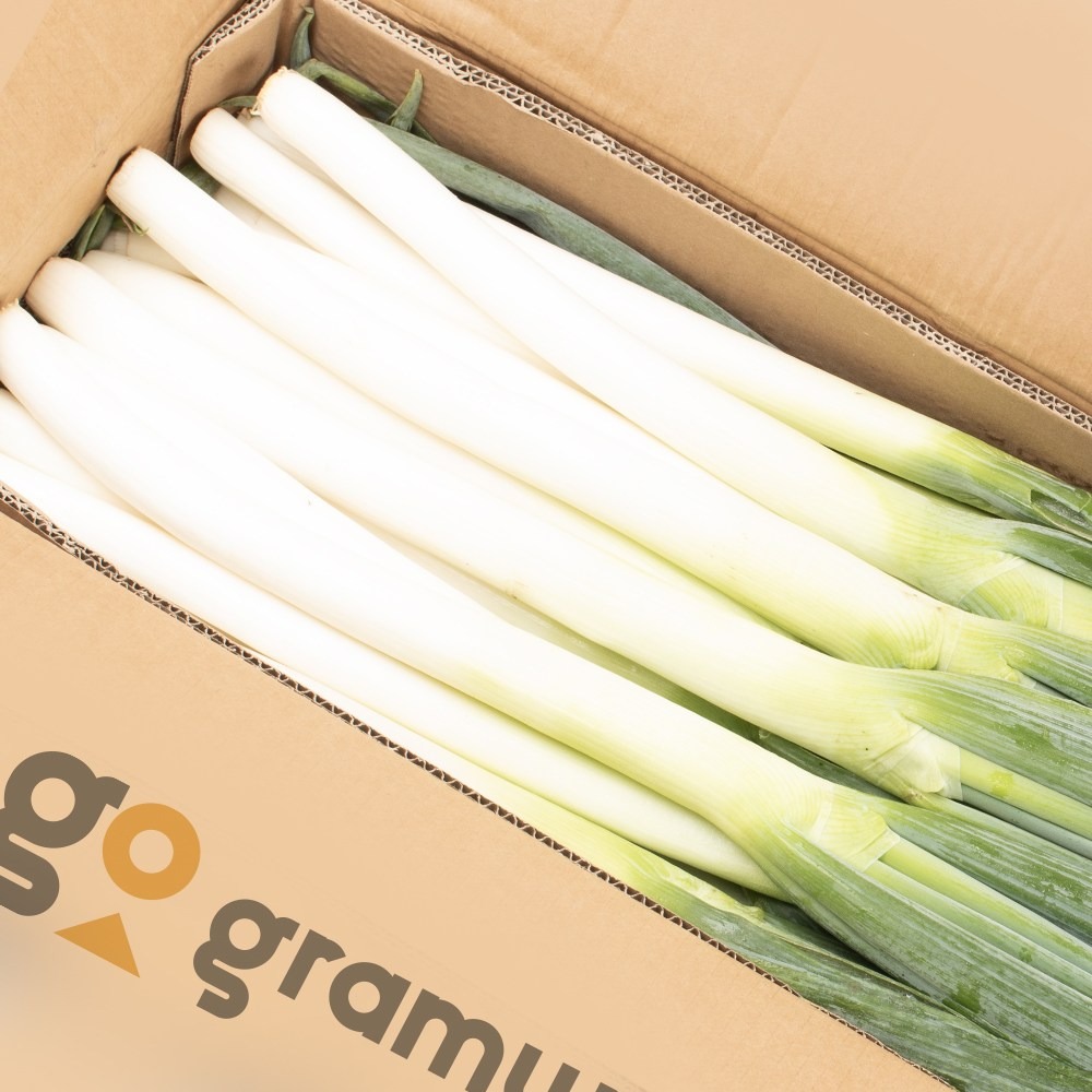 수입 대파 5kg 중국산 깐대파 손질대파 식자재 업소용 도매, 1개, 5kg 8,700원