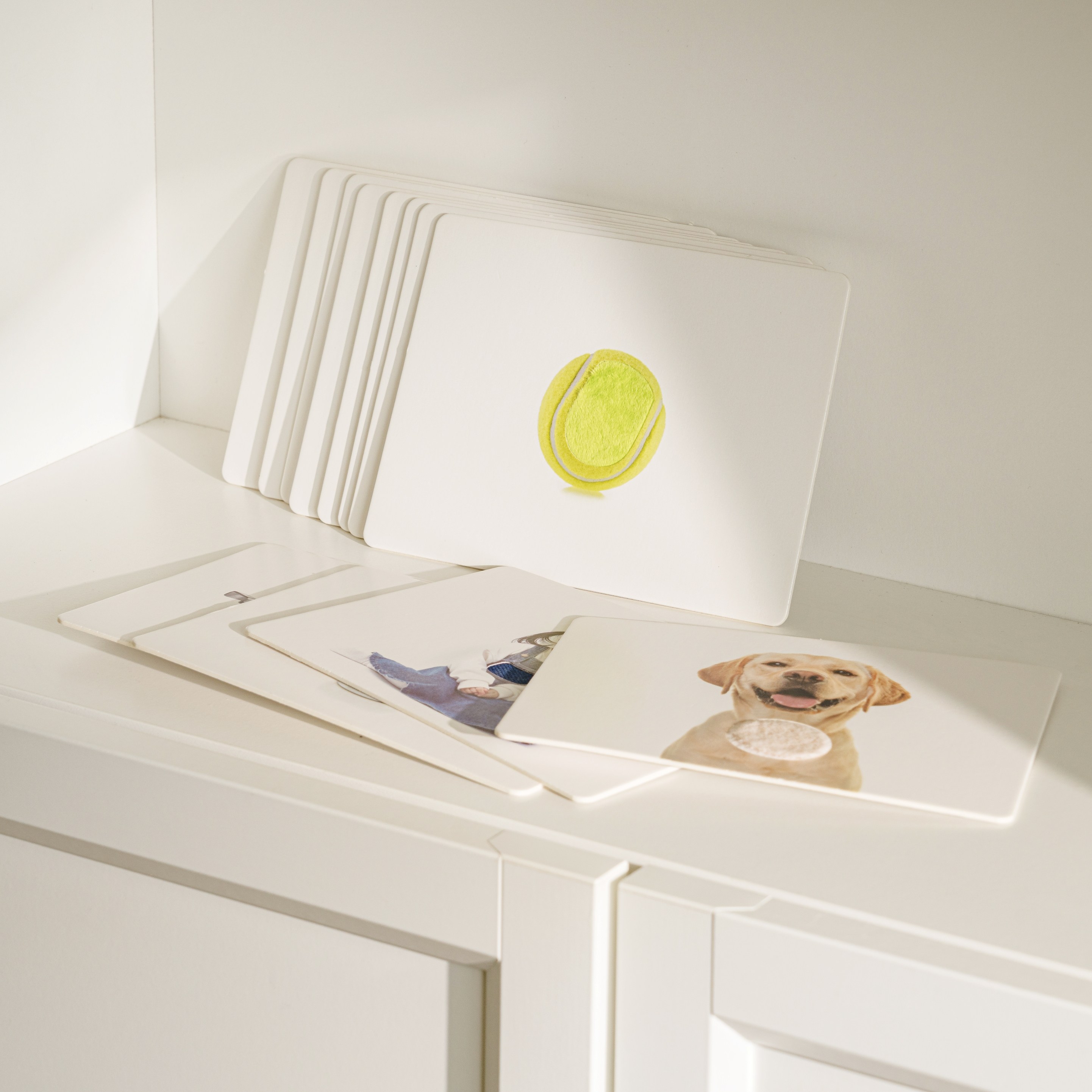 피카비 촉감 카드 영유아 언어발달 촉감발달, 12개, 카드 별 상이, 현재가 31,200원