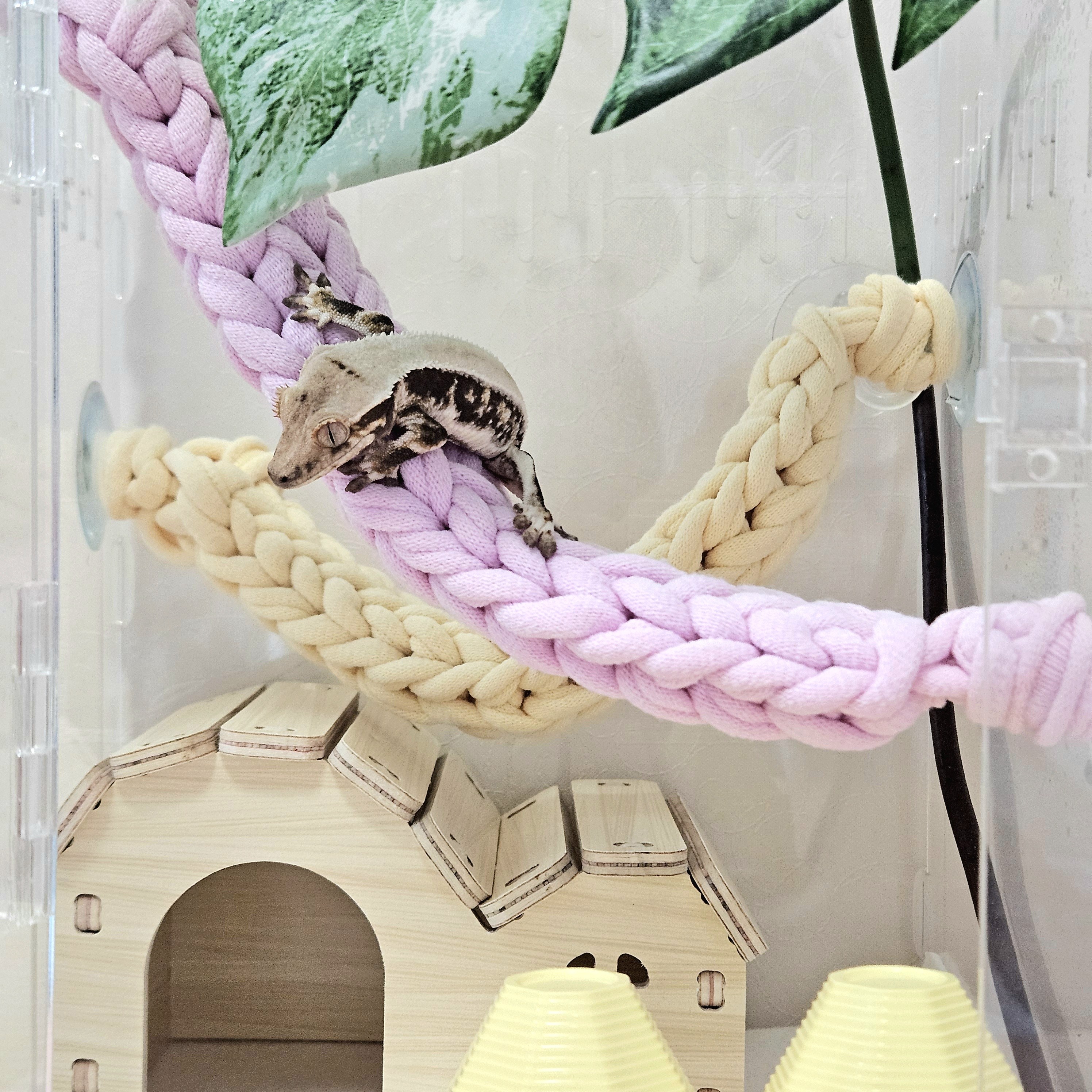 크레스티드게코 도마뱀/양말목 백업 사다리 24cm/사육장 꾸미기 13,500원