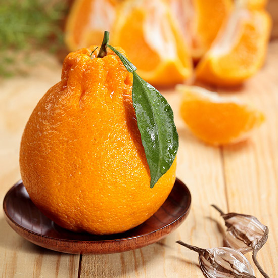 특품정품 프리미엄 제주 한라봉, 1박스, 10kg (정품 중과) 59,000원