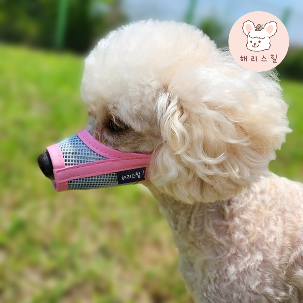 해리스힐 초경량 메쉬 컬러 입마개 XS 12,900원