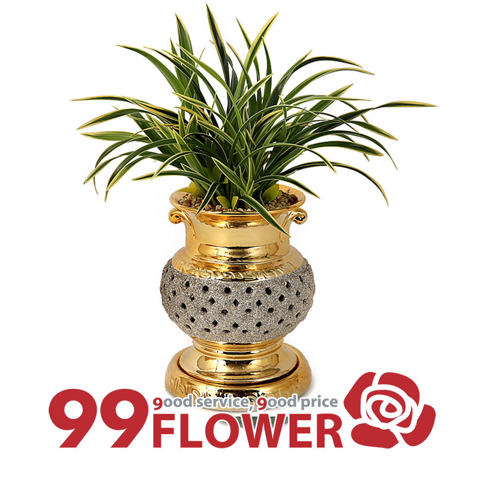 (주)99플라워 신상품동양란 [ST-E511]전국당일꽃배달 83,400원