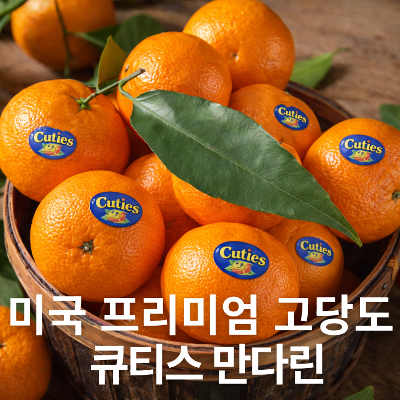 큐티스 미국 프리미엄 고당도 만다린 감귤, 1박스, 만다린 10kg 91,900원