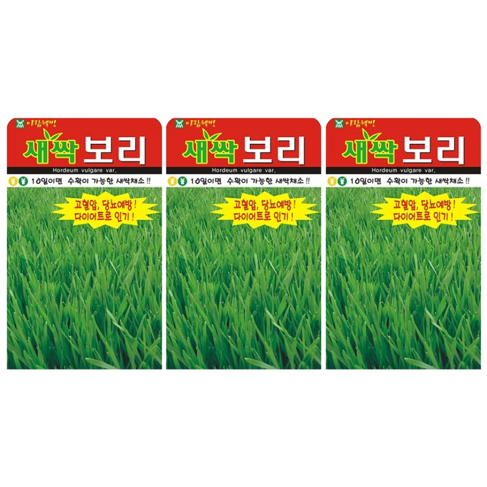 새싹보리 씨앗 (합 90g) 보리씨 보리씨앗 보리새싹, 3개 8,900원