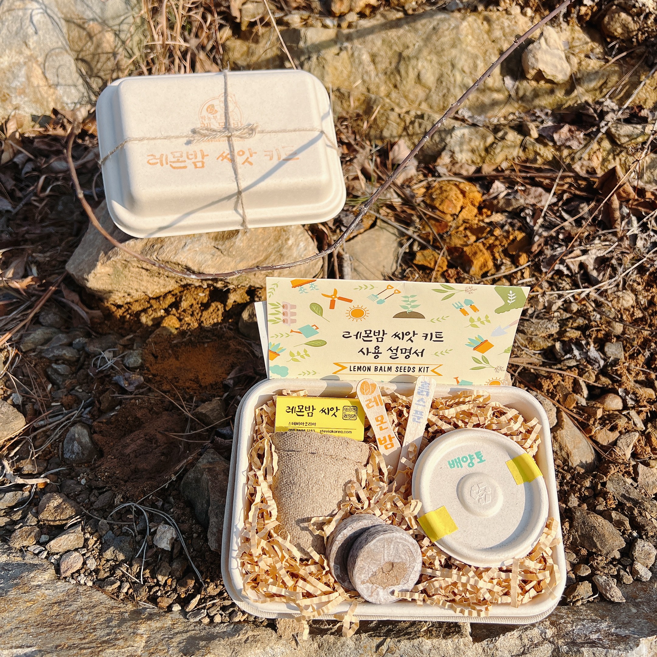 [레몬밤 씨앗키트] 반려식물, 레몬향 허브, 셀프가드닝, 새싹부터 수확까지 손쉽게!!, 1개 12,000원