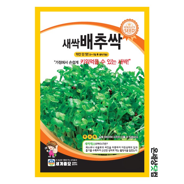 배추싹 500g / 새싹씨앗 새싹키우기 수경재배 배추싹씨앗 13,020원