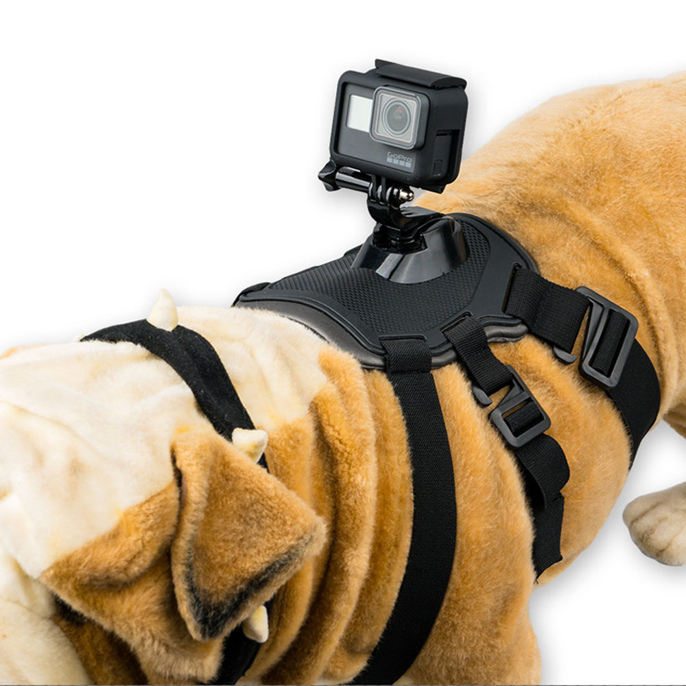 고프로 강아지 마운트 애완견 스트랩 도그 하네스 오즈모 액션캠 12,310원