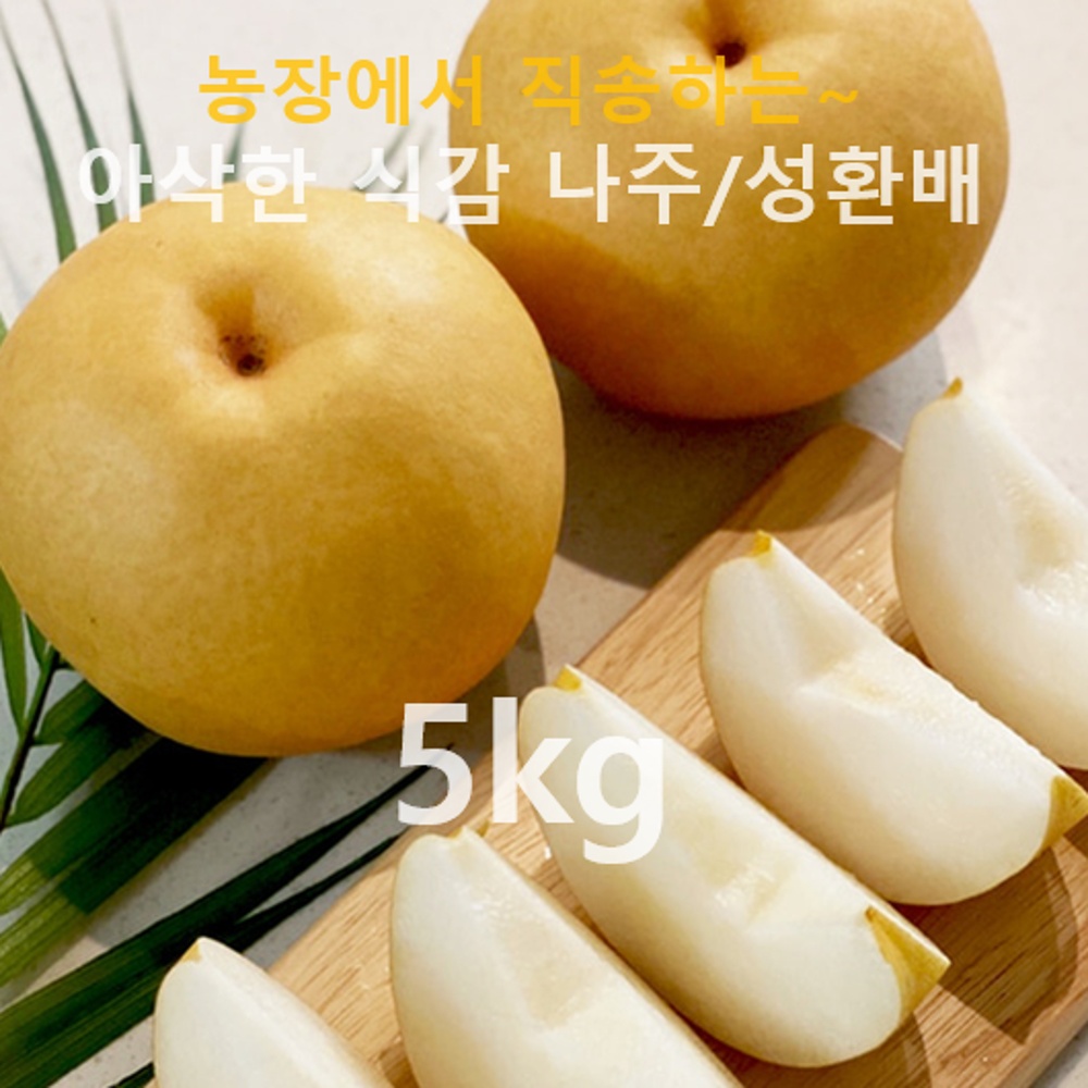 [명절 선물 세트] 프리미엄 나주 신고배 (선물세트), 천안 정품 성환배 정품!! 아삭함이 살아 있어요! 49,000원