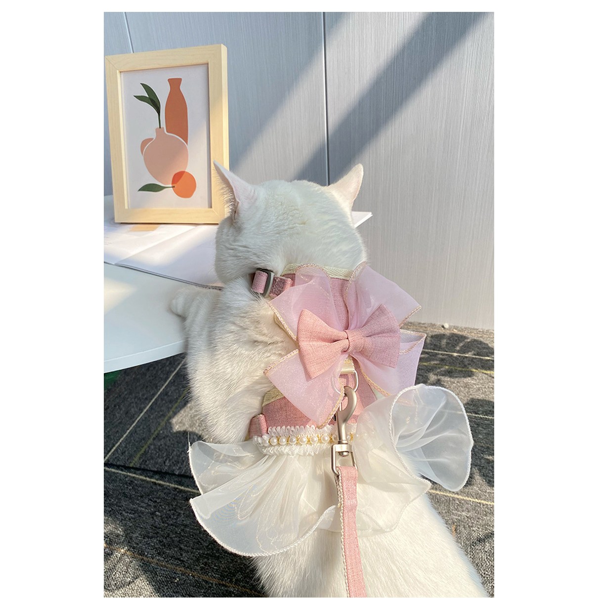 강아지하네스 리드줄 세트 진주리본 산책 H형 하네스 가슴줄, 블루, 1개 18,010원