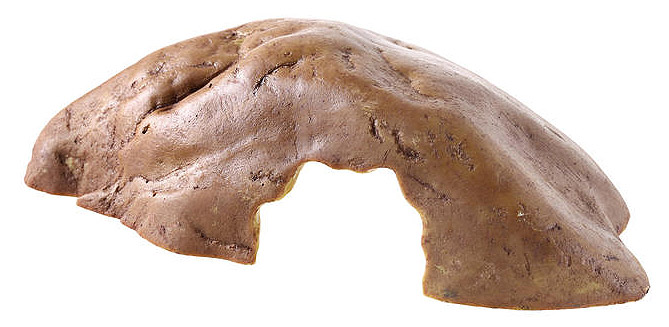 엑소테라 파충류 은신처 7,110원