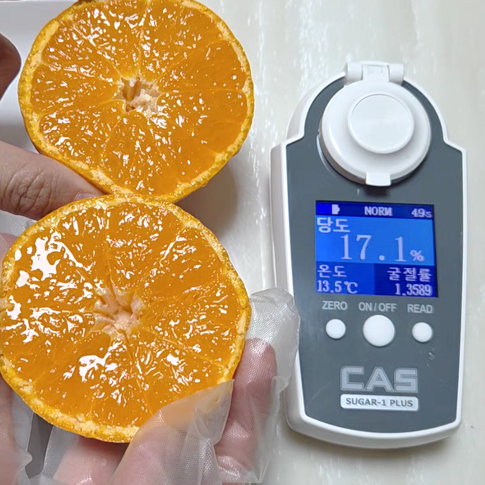 [환불보장]당도선별 비가림 감귤 제주 초고당도 하우스 하례 귤 밀감 5kg, 1박스, 5kg 55,800원