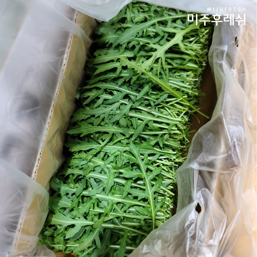 와일드 루꼴라 알싸한 향 샐러드 채소 19,600원