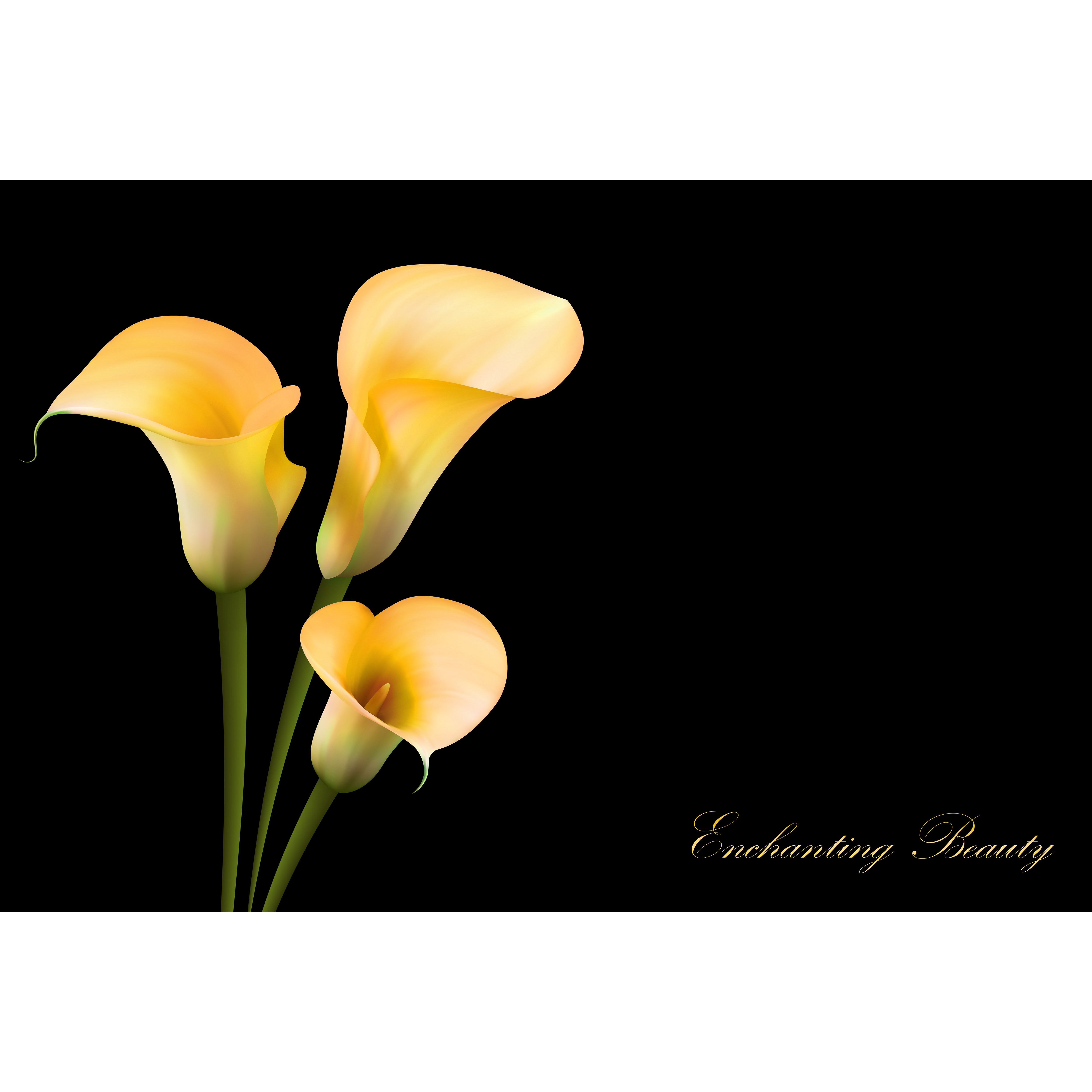 코나 주방아트보드 주방 벽 타일 셀프 인테리어 기름튐방지 옐로카라1 75,900원