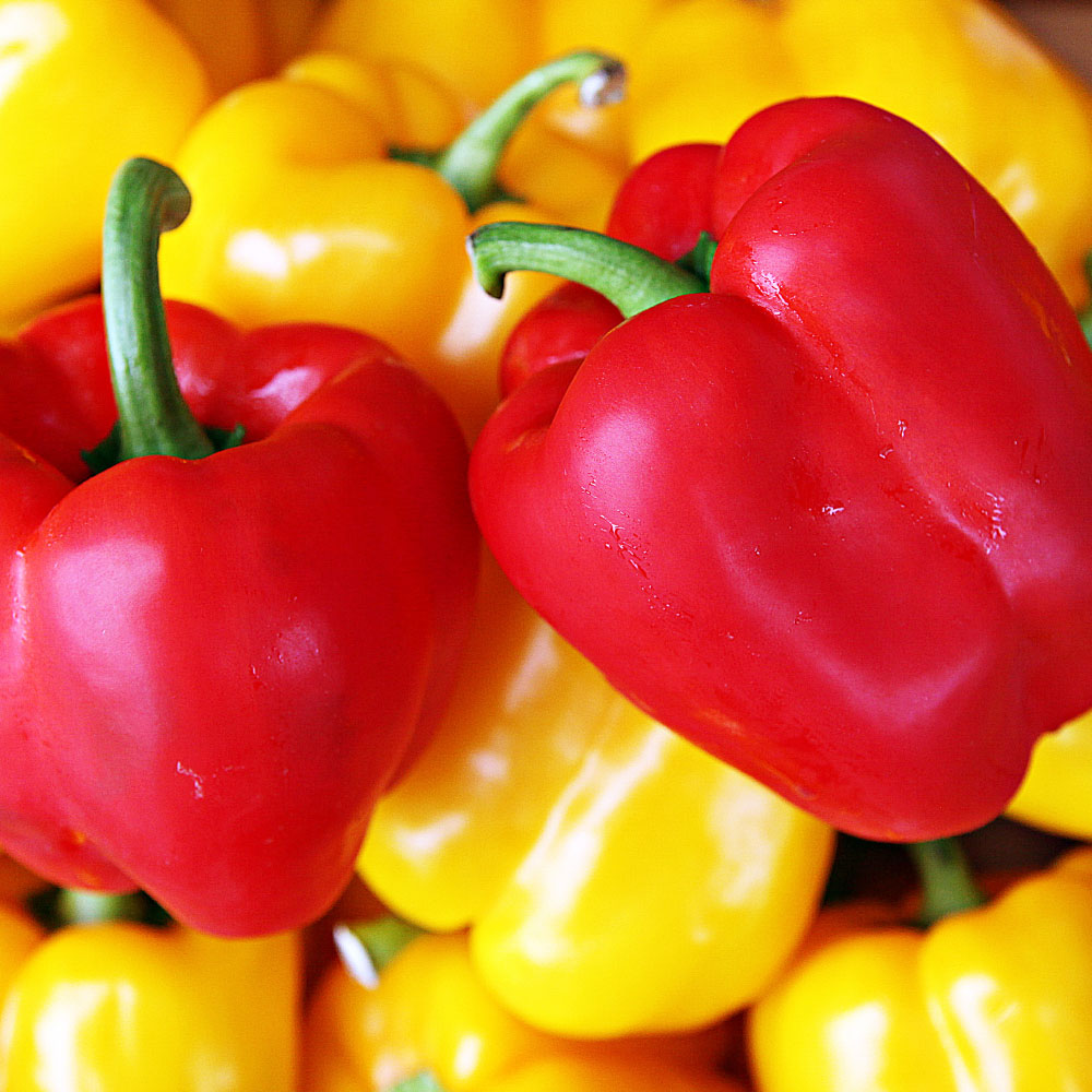 산정마을 국내산 못난이 파프리카 9,400원