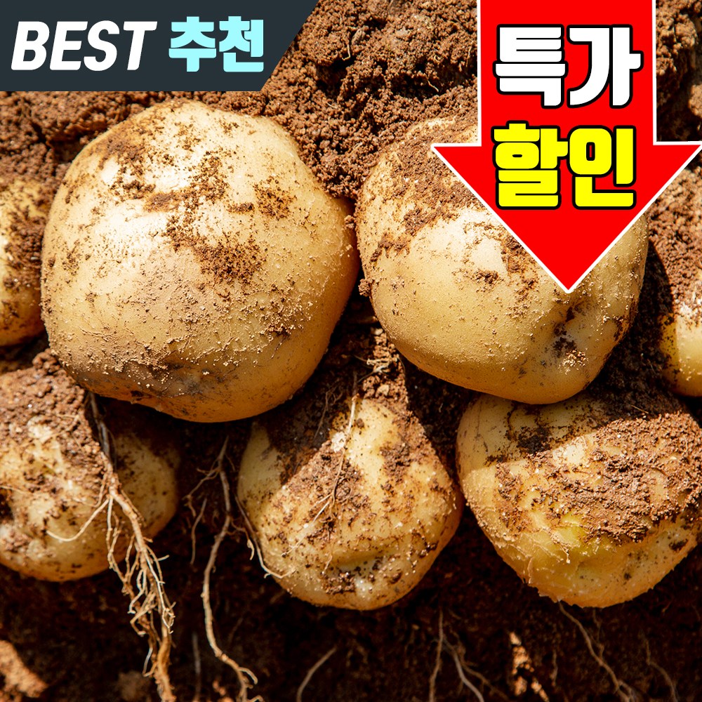 산지직송 두백감자 신선 감자 대용량 특가, 1개, 10kg(대) 33,900원