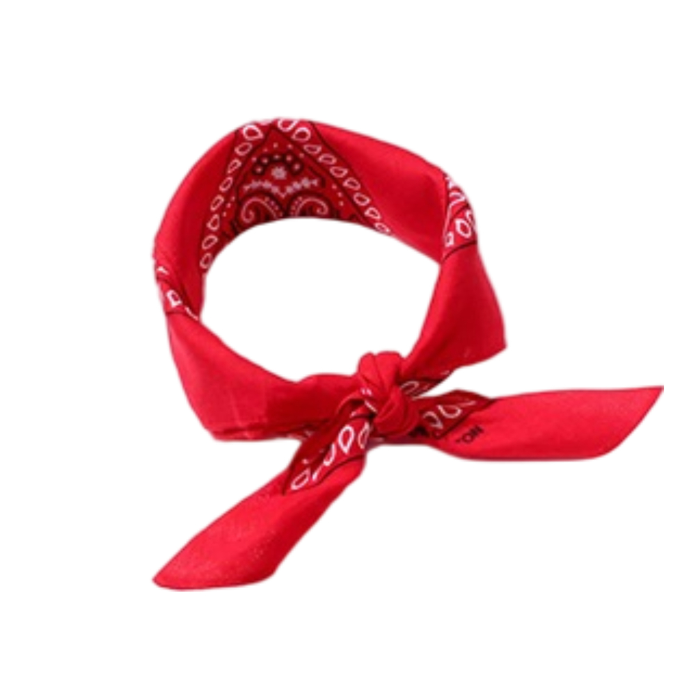 룩템 단체 야유회 손수건 반다나 스카프 산악회 여행 콘서트 체육 대회 운동 행사 소품, 레드 20장 34,340원