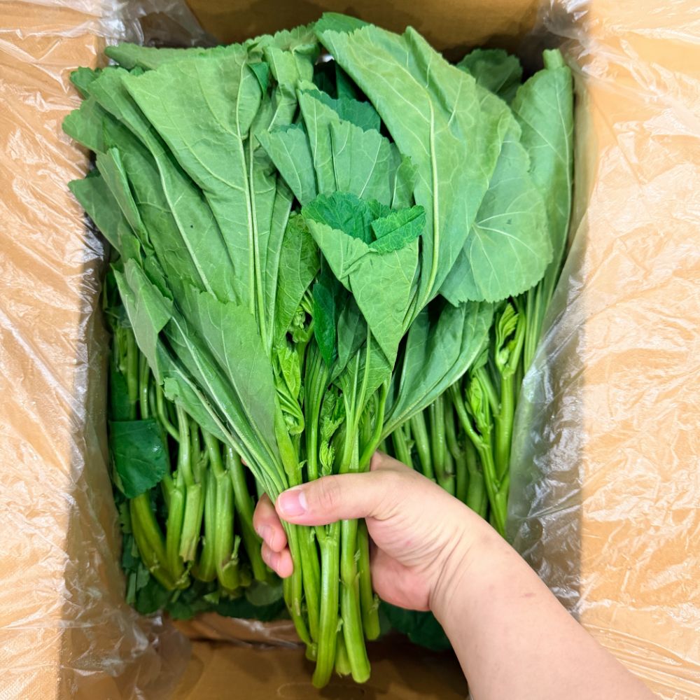 맛통령 국내산 아욱 12,960원