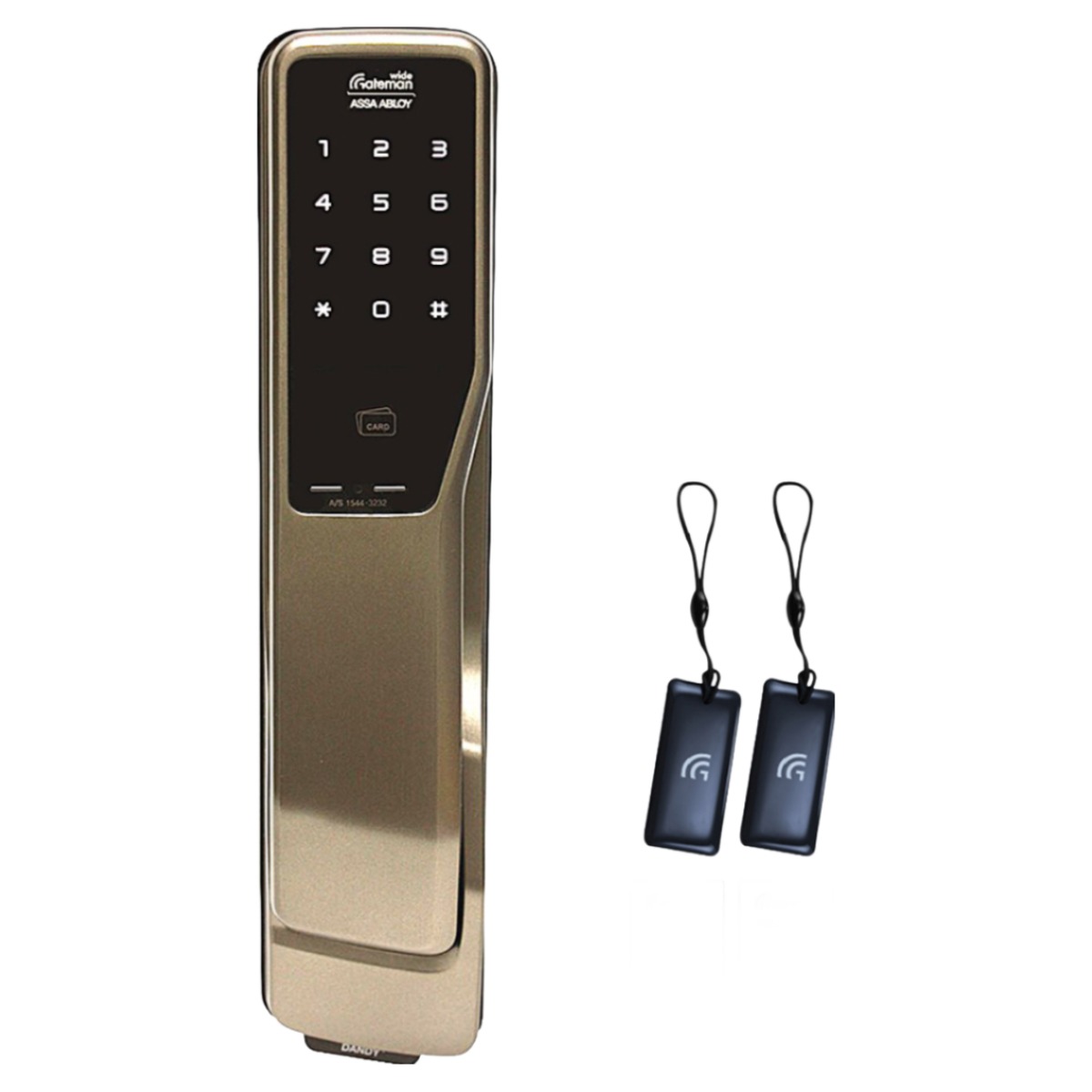 게이트맨 푸시풀도어록 댄디 카드키4개+번호키 허수기능 에티켓기능 현관문 디지털도어락 [고객직접설치], 고객직접설치, 게이트맨 댄디 209,000원