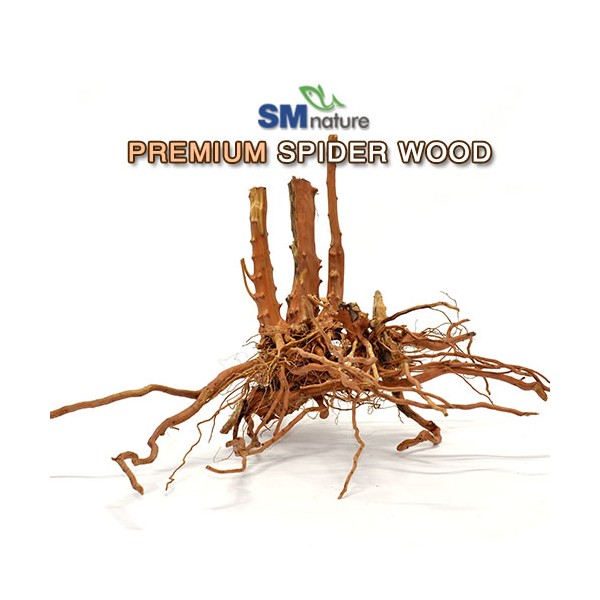 SM 프리미엄 스파이더 유목 [대] 29,000원