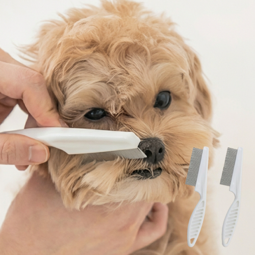 애틱트 섬세한 강아지 고양이 얼굴빗 눈꼽빗 L, 단일색상, 3개 6,800원