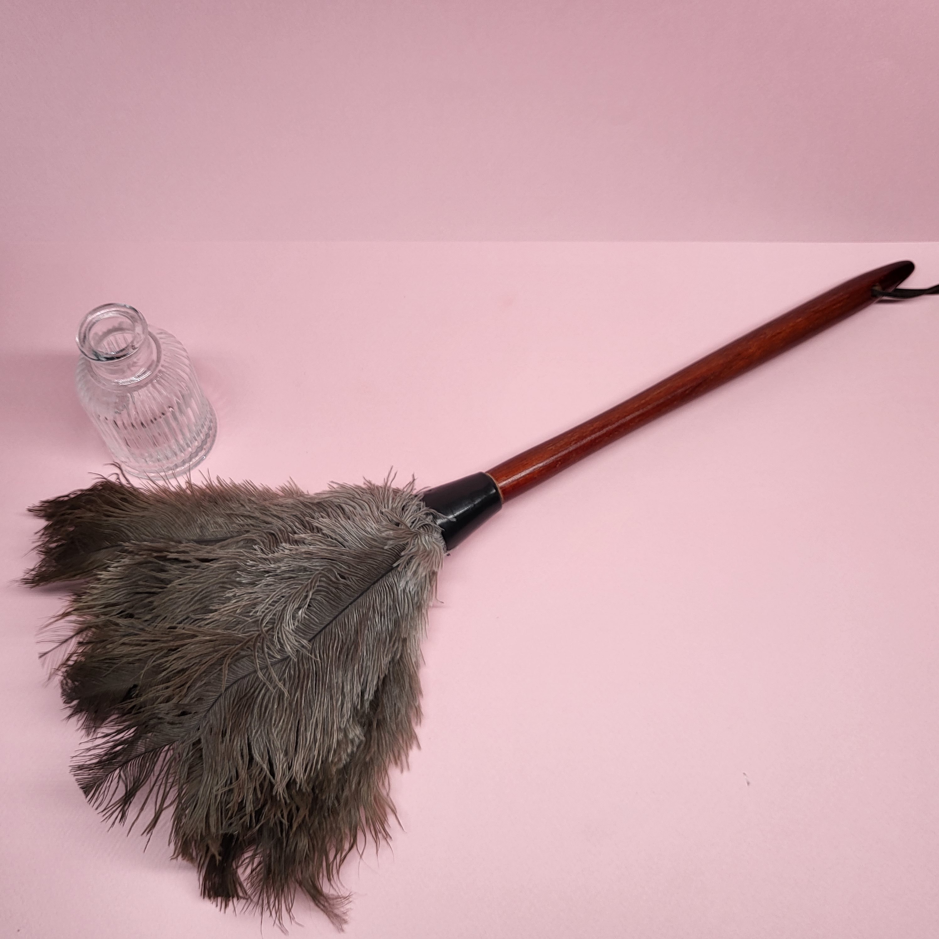 텐투투니 타조 먼지 털이 털이개 청소 미세먼지 제거 13,800원