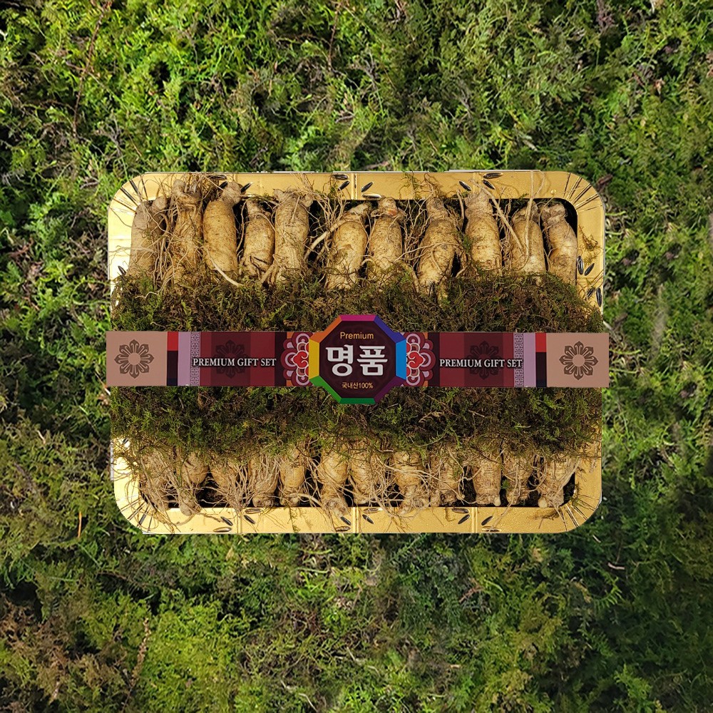 금산인삼 수삼 명절선물세트 선물용 바구니2호원수삼대 1.5kg 20~26뿌리, 1세트 111,900원
