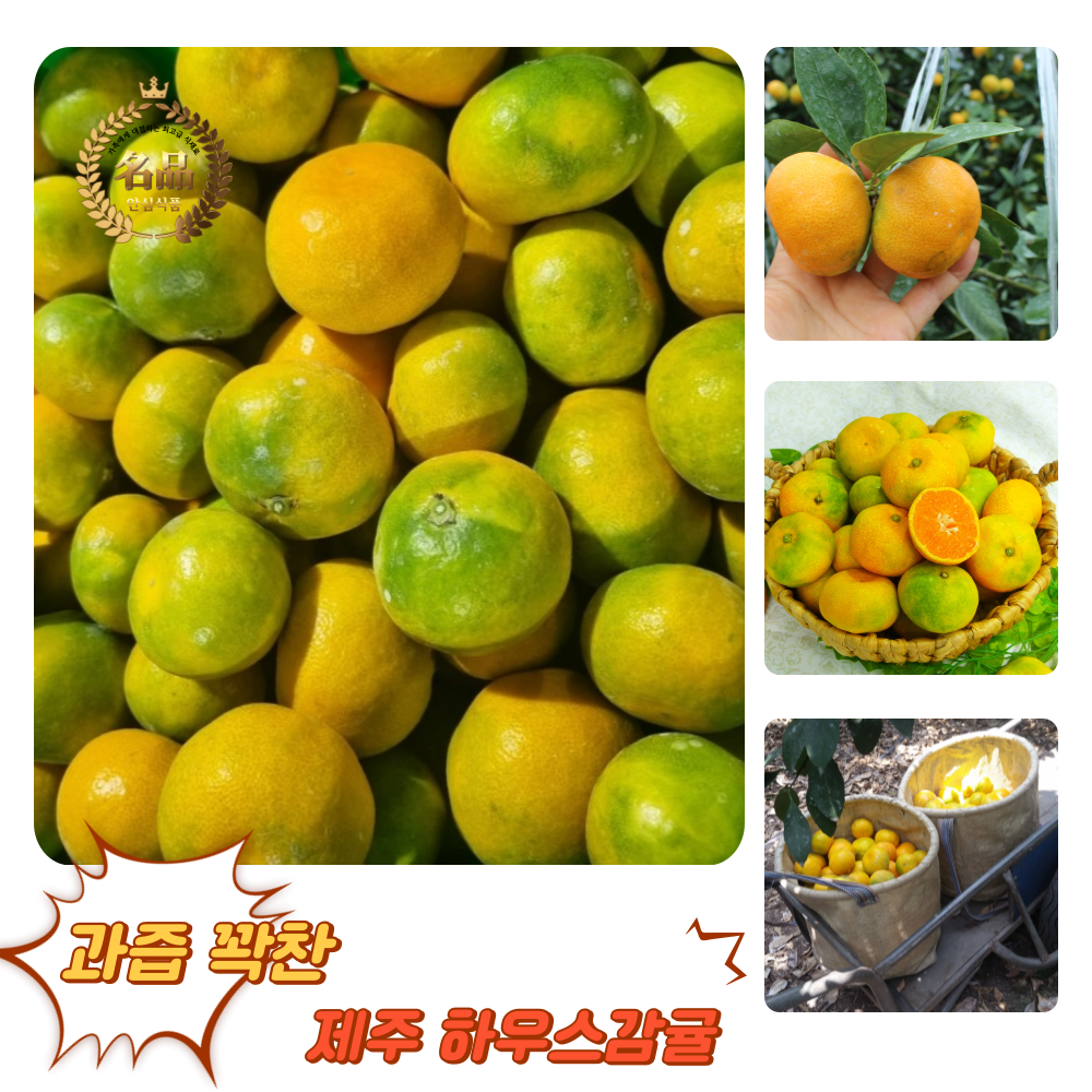[굿피플] 제주감귤 귤 제주도귤 고당도감귤 53,960원