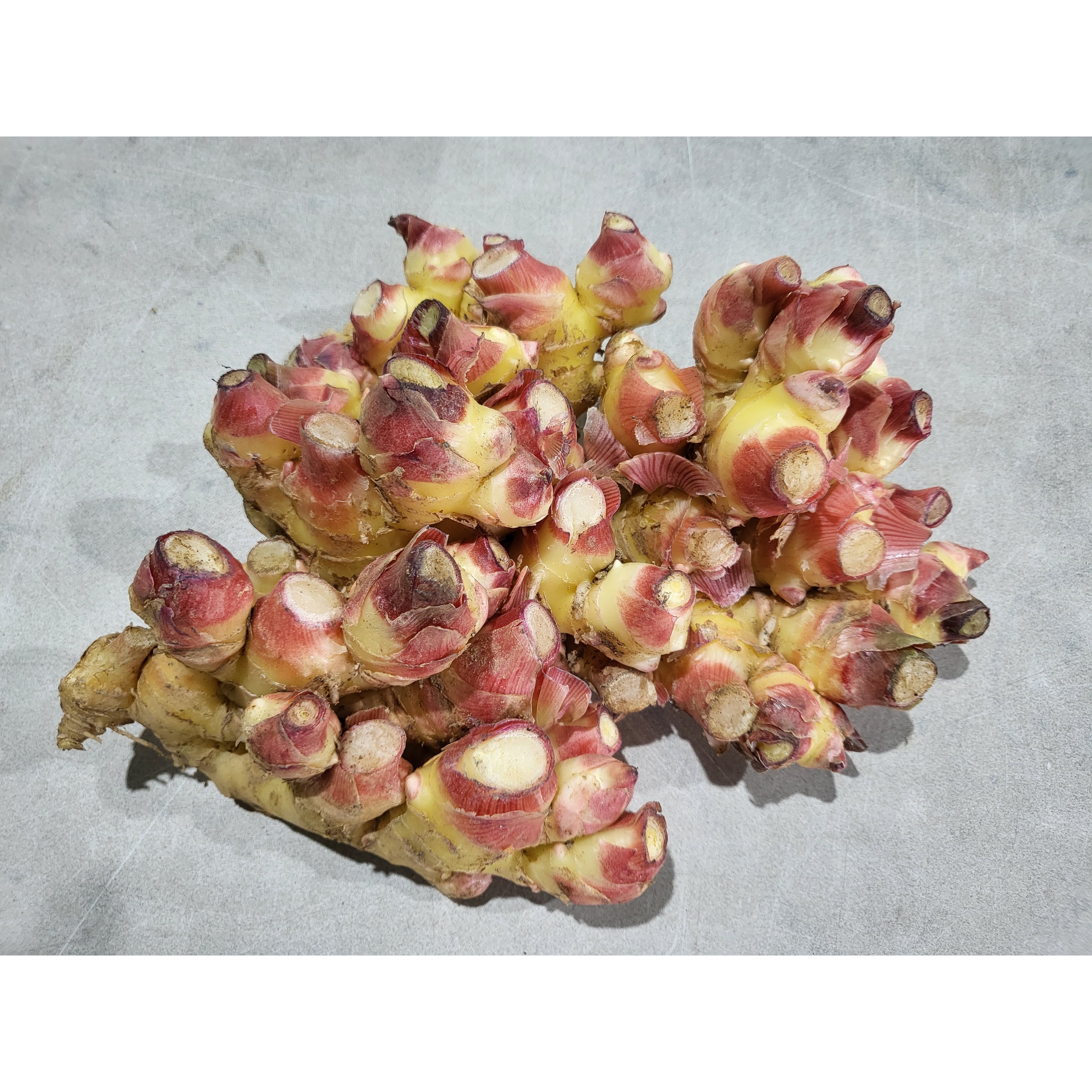 [농가재배] 정성으로 키운 자연 그대로의 흙 생강 향과 매운맛 균형이 좋은 흙 생강 흙째 보관해 향이 진한 신선한 흙 생강, 1개, 이하나몰 국내산 흙 생강 특품 4kg 65,100원