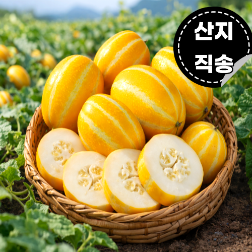 성주참외 산지직송 고당도 참외 혼합과 2kg 3kg 5kg 당일선별, 1개, 3kg(소과) 29,500원
